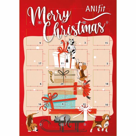 Anifit Adventskalender