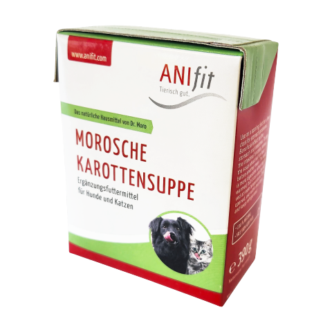 Anifit Morosche Karottensuppe