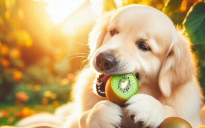 Dürfen Hunde Kiwi fressen?